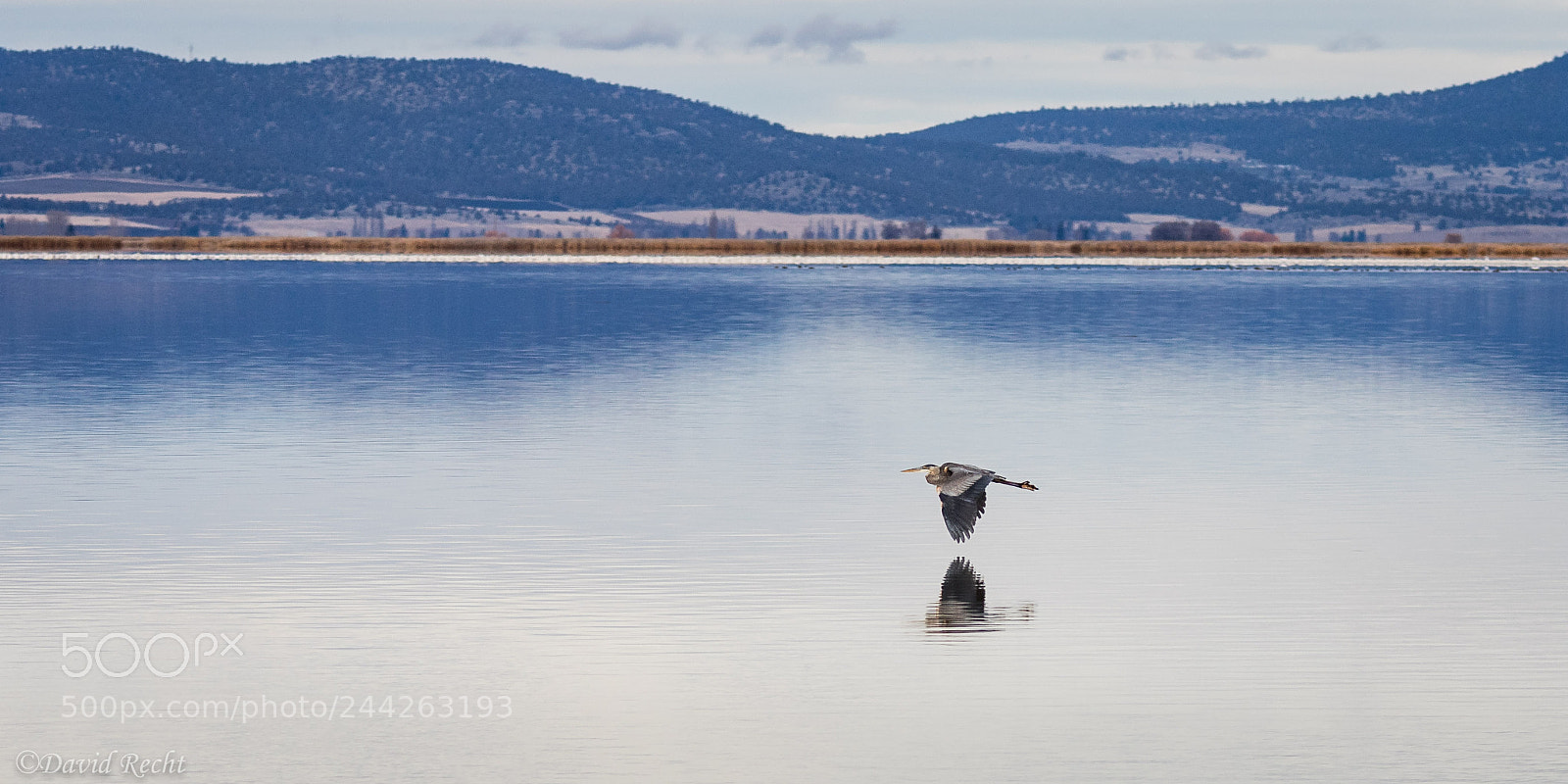 Canon EOS 7D Mark II sample photo. Skimming photography