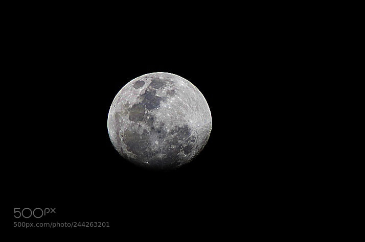 Canon EOS 750D (EOS Rebel T6i / EOS Kiss X8i) sample photo. The moon photography