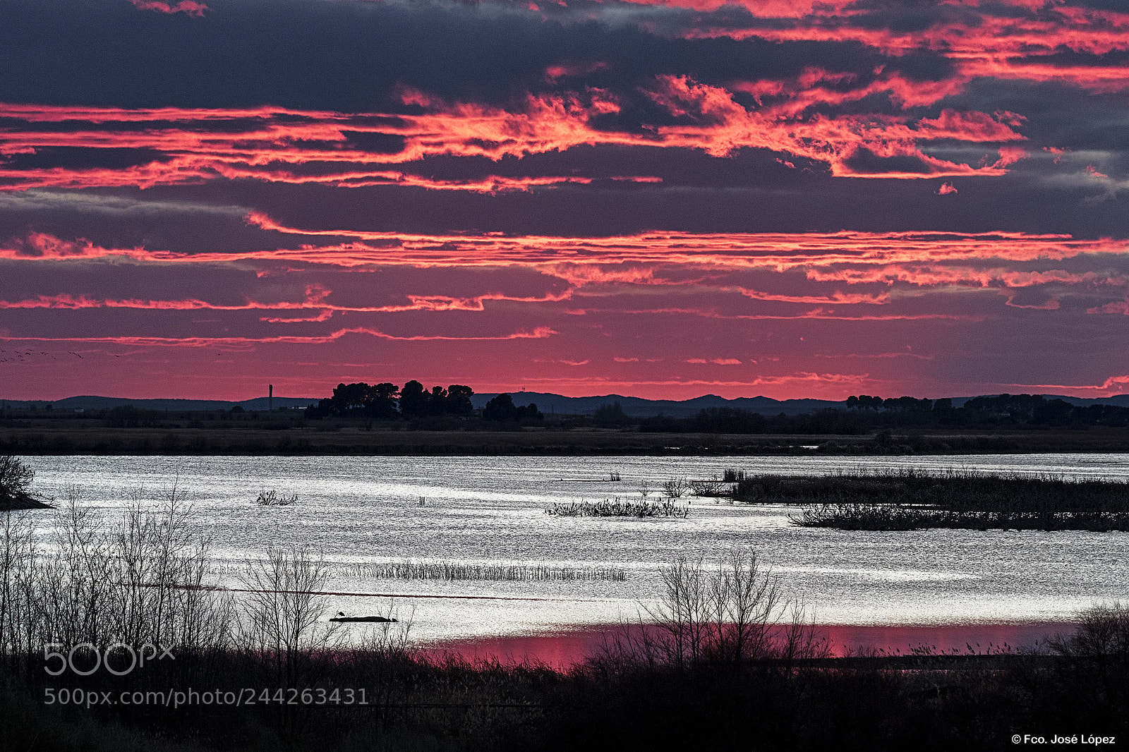 Canon EOS 7D Mark II sample photo. Tablas de daimiel photography