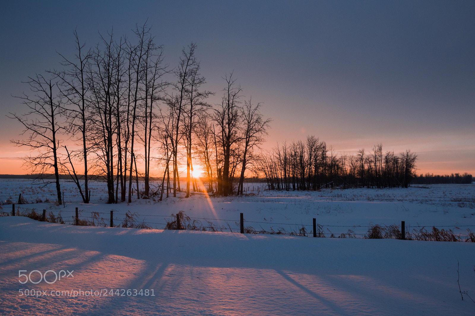 Nikon D3200 sample photo. Alberta sunset photography