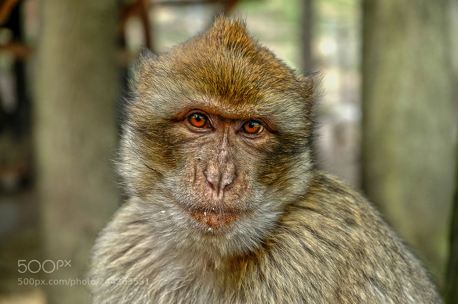 Nikon D70 sample photo. 2005.jpg photography