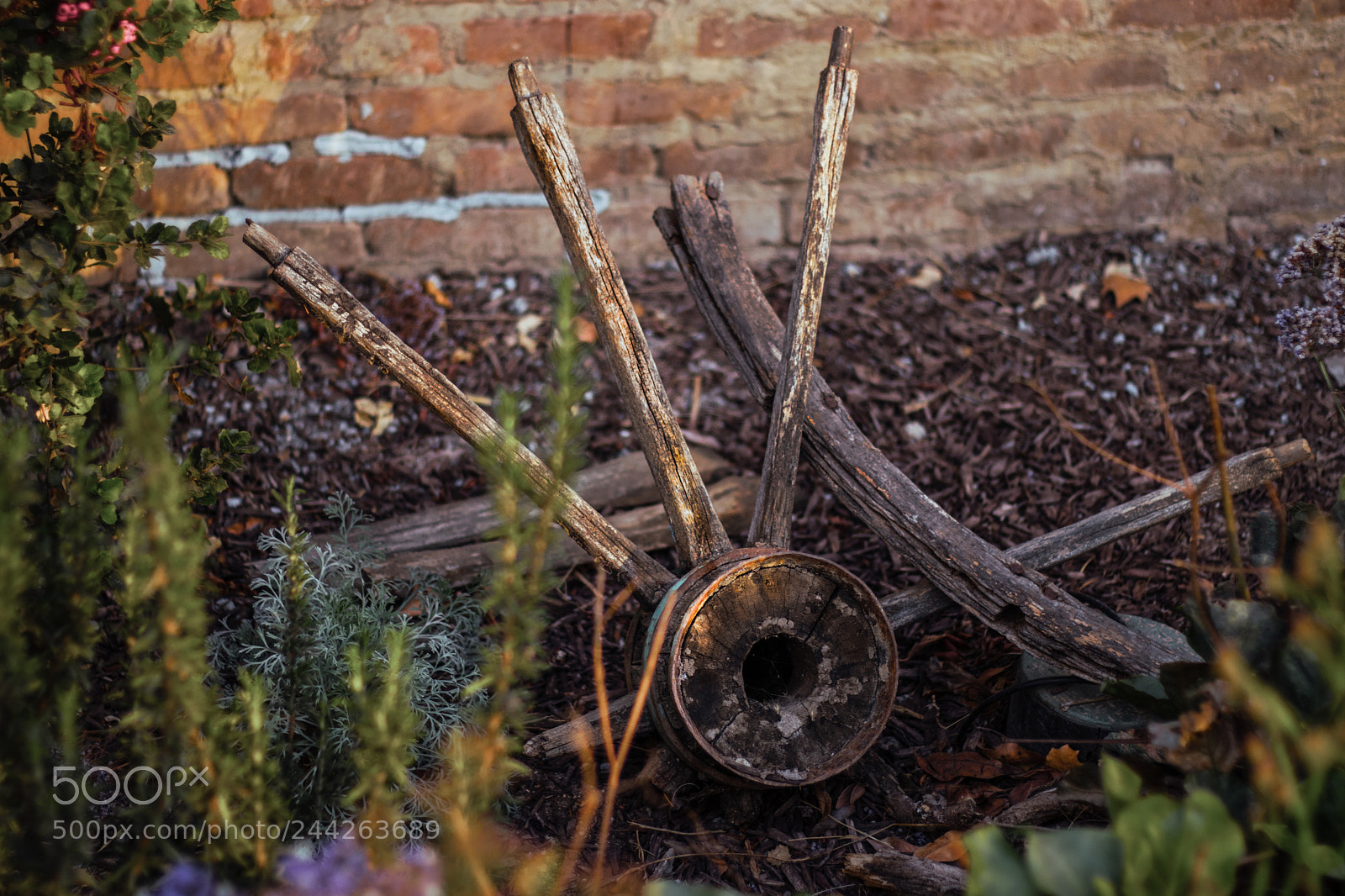 Canon EOS 77D (EOS 9000D / EOS 770D) sample photo. Broken photography