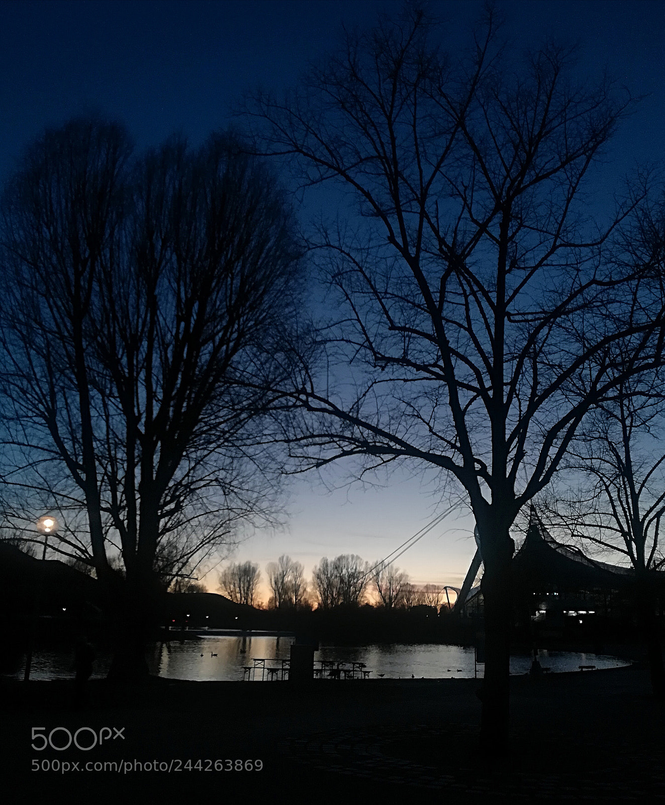 HUAWEI P10 lite sample photo. Por encontrar photography