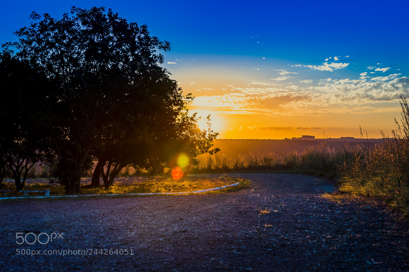 Sony SLT-A99V sample photo. Road to the sunset photography