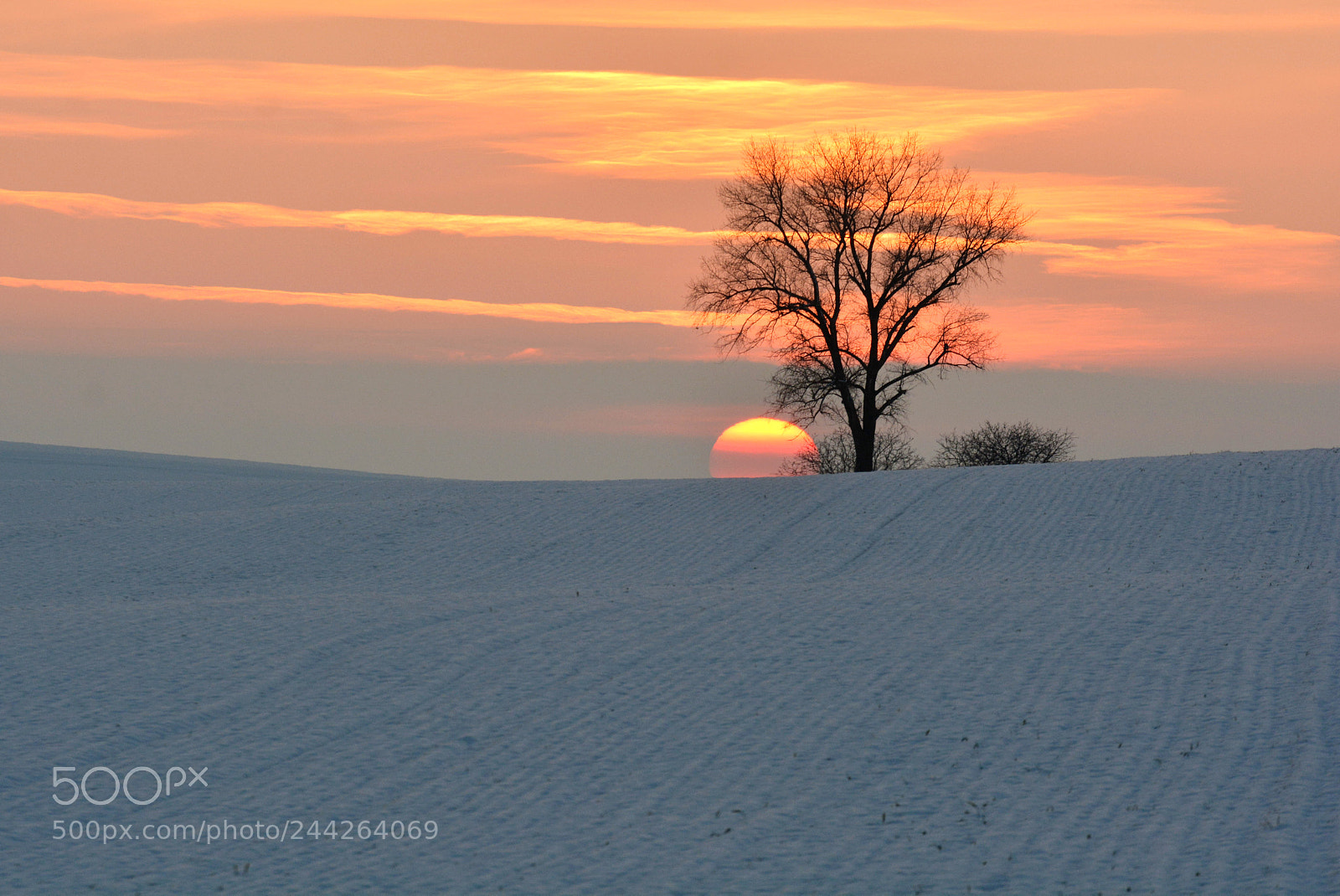 Nikon D7100 sample photo. Evening photography