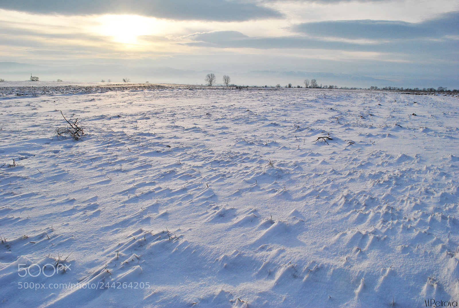 Nikon D3000 sample photo. Snowy field photography