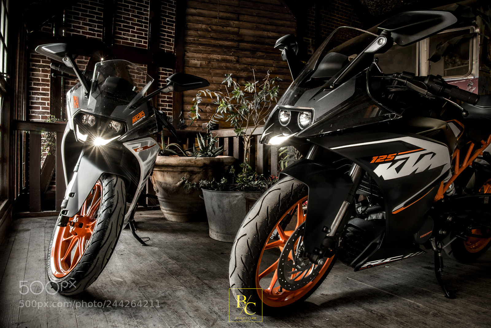 Nikon D800 sample photo. Untitled photography