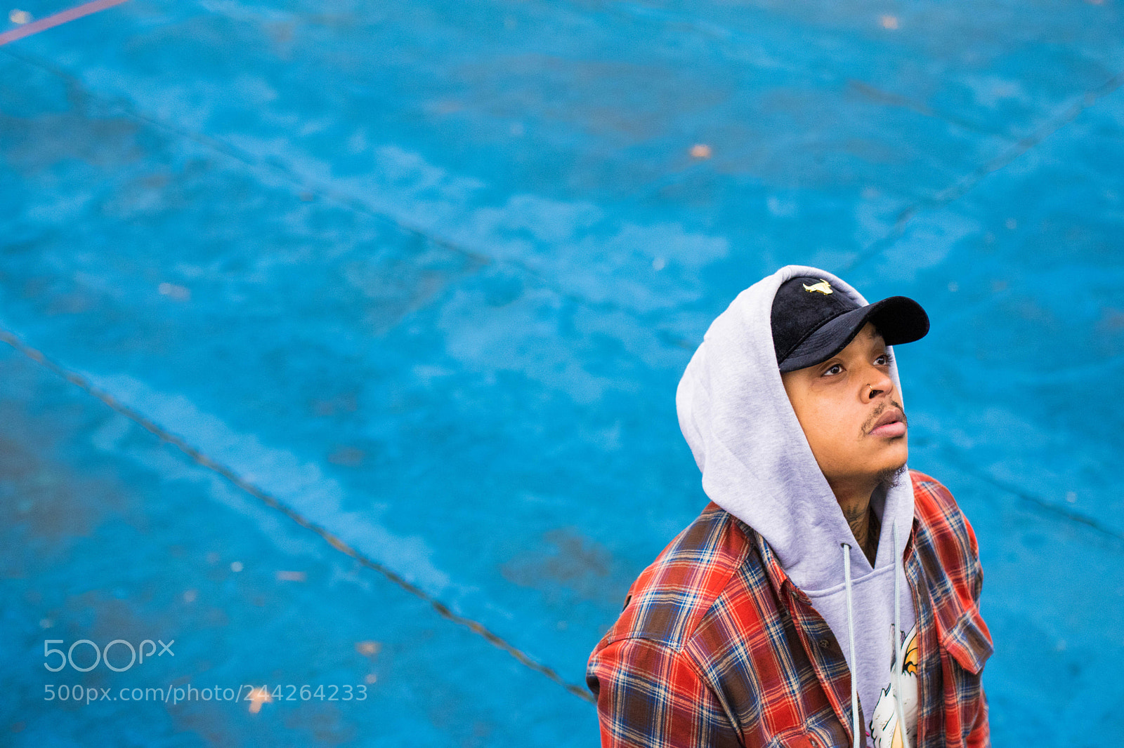 Nikon D5600 sample photo. Look up. photography