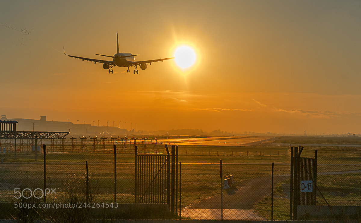 Sony a7R II sample photo. Landing in sunset photography