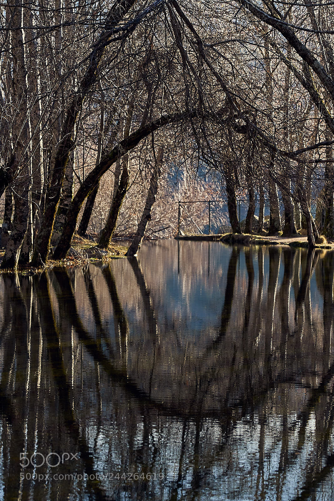 Sony a7 II sample photo. Reflection photography