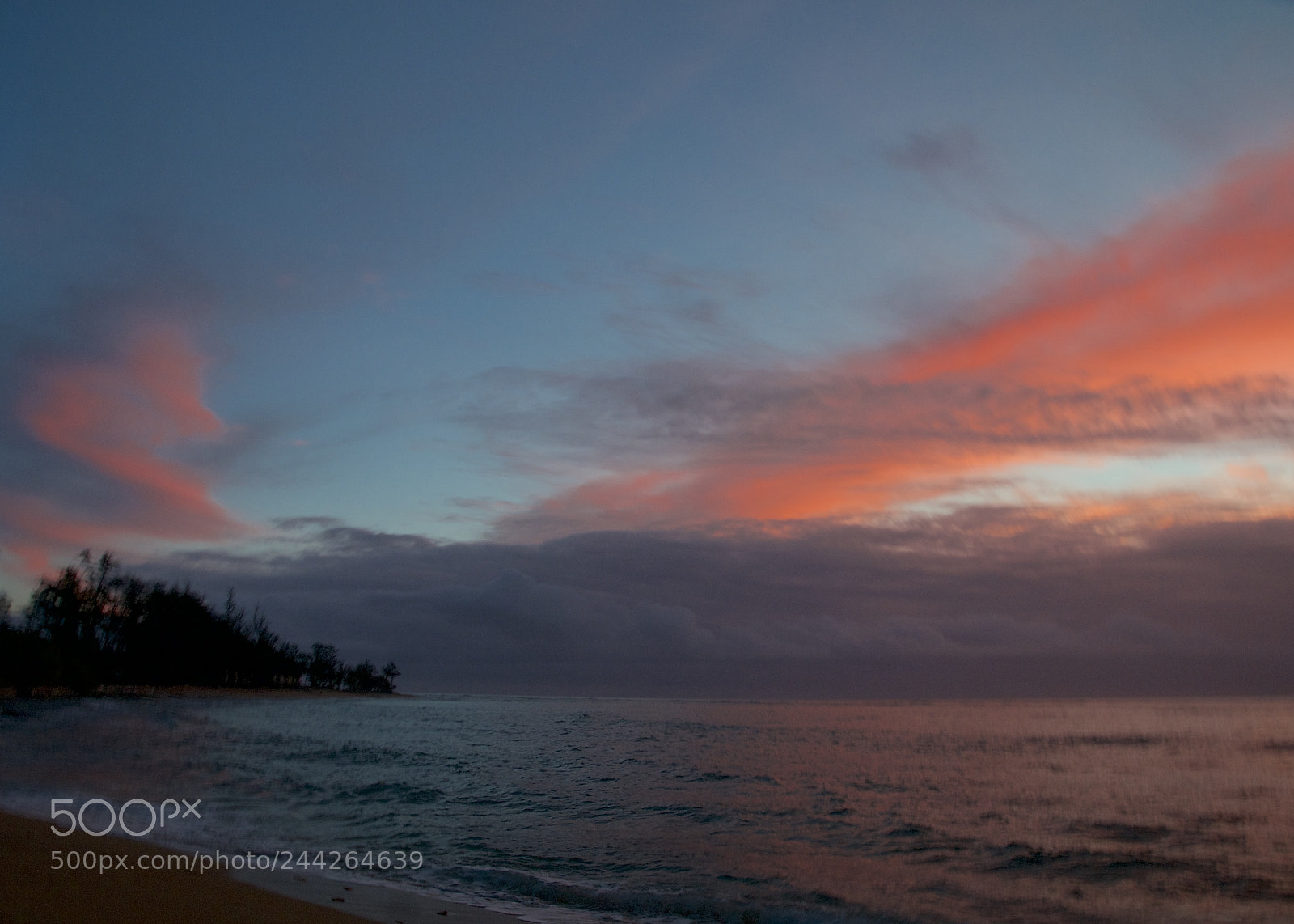 Nikon D300 sample photo. Tropical pacific at first photography