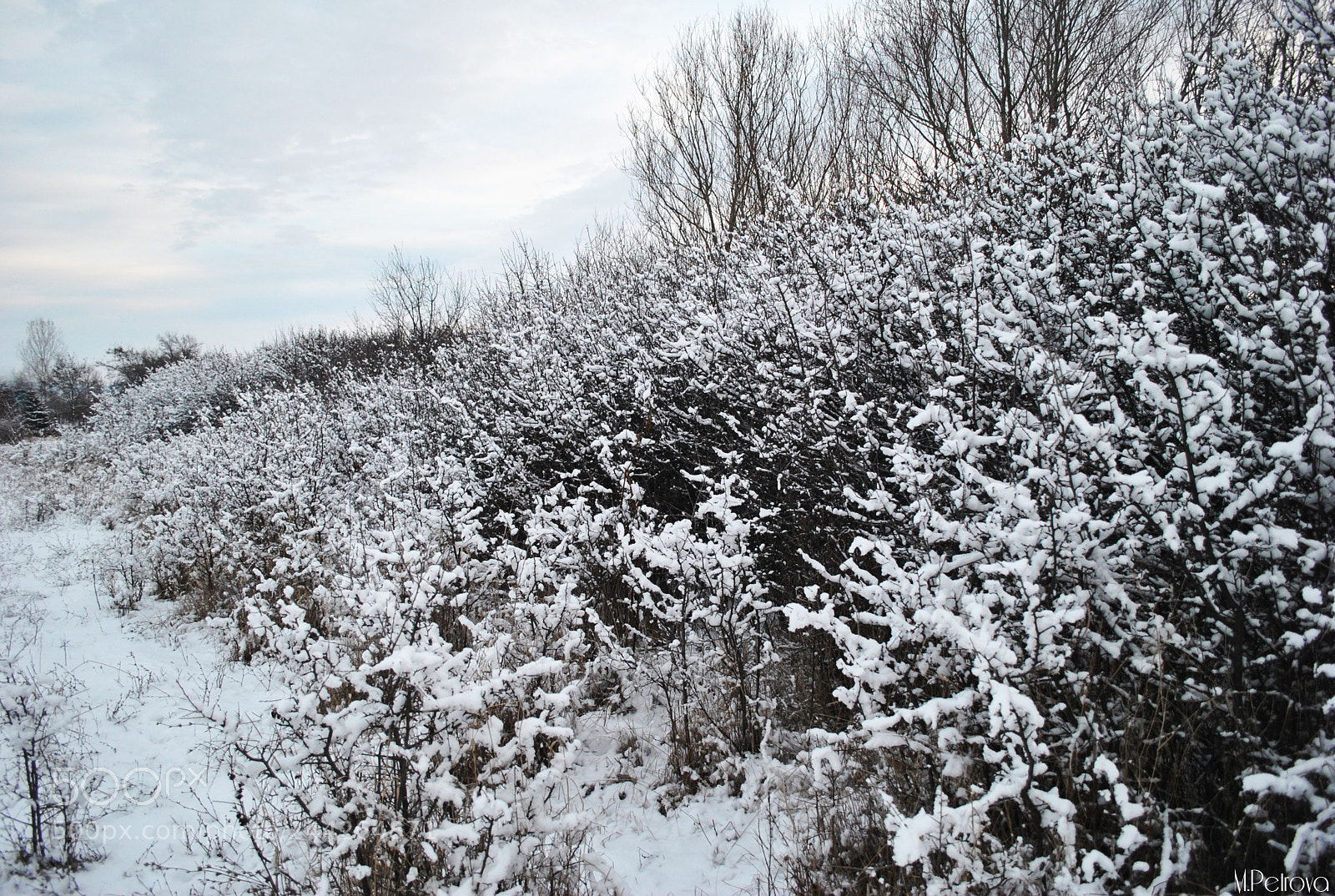 Nikon D3000 sample photo. Winter wonderland photography