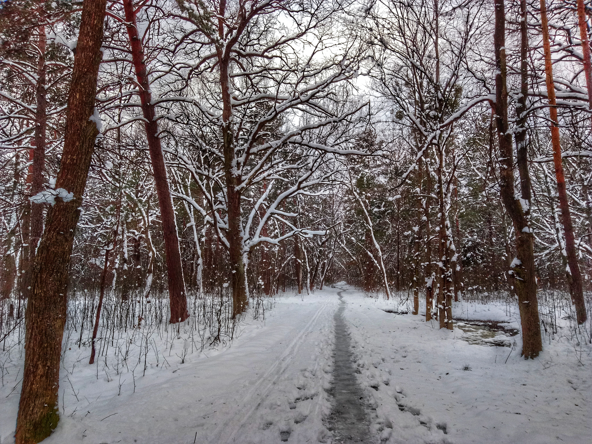 Meizu U20 sample photo