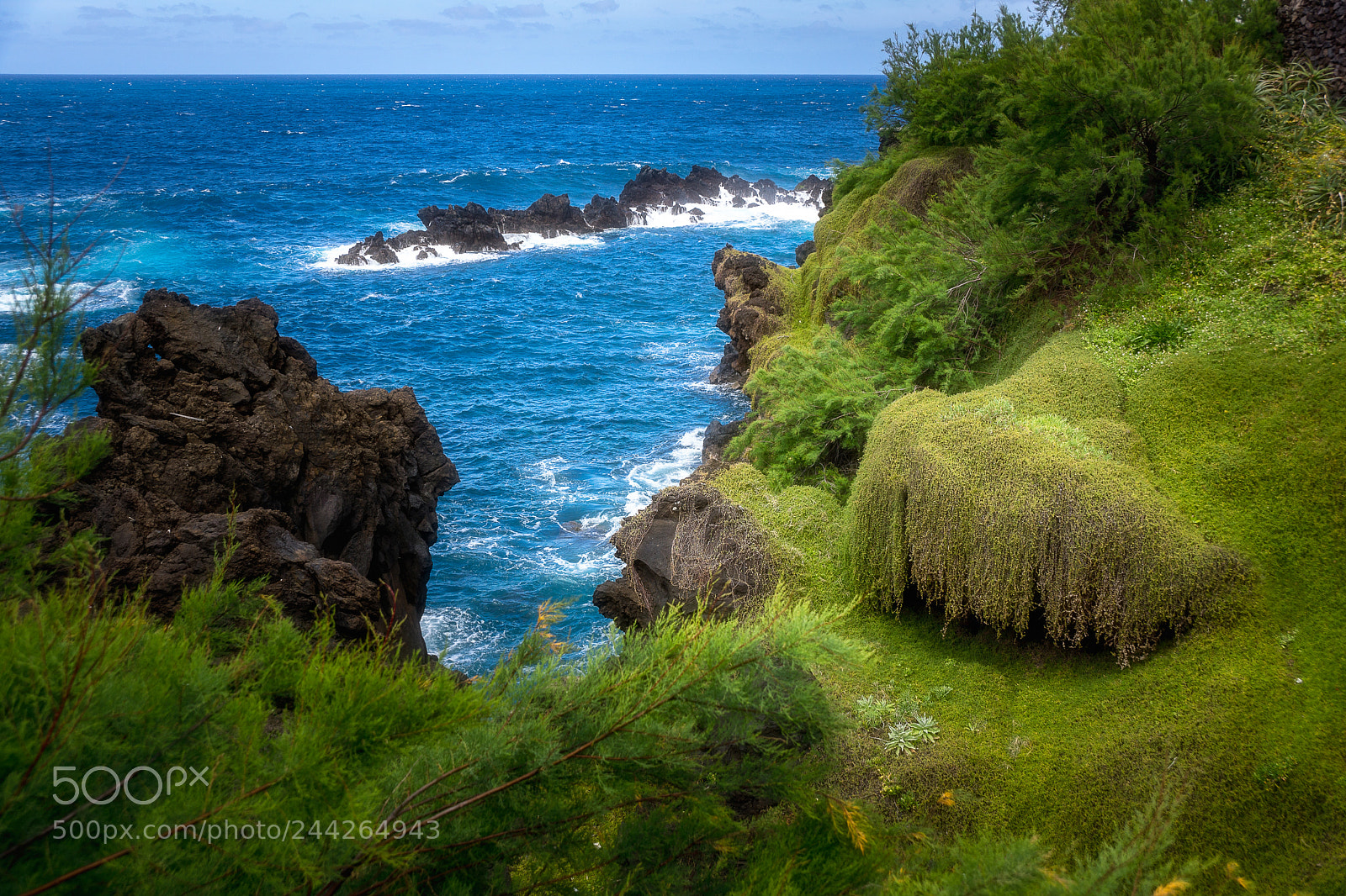 Sony SLT-A65 (SLT-A65V) sample photo. Porto moniz, madeira photography