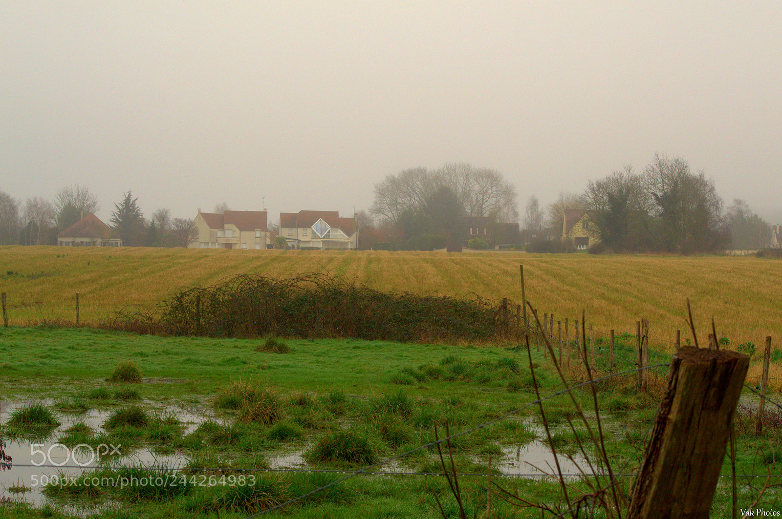Nikon D3100 sample photo. Rainy day photography