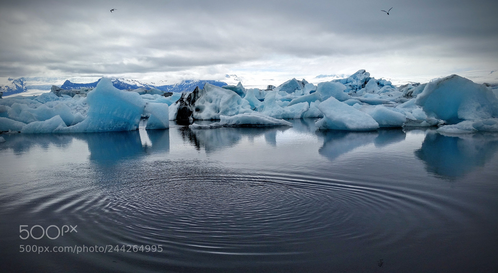 Samsung Galaxy S5 sample photo. Ice.jpg photography