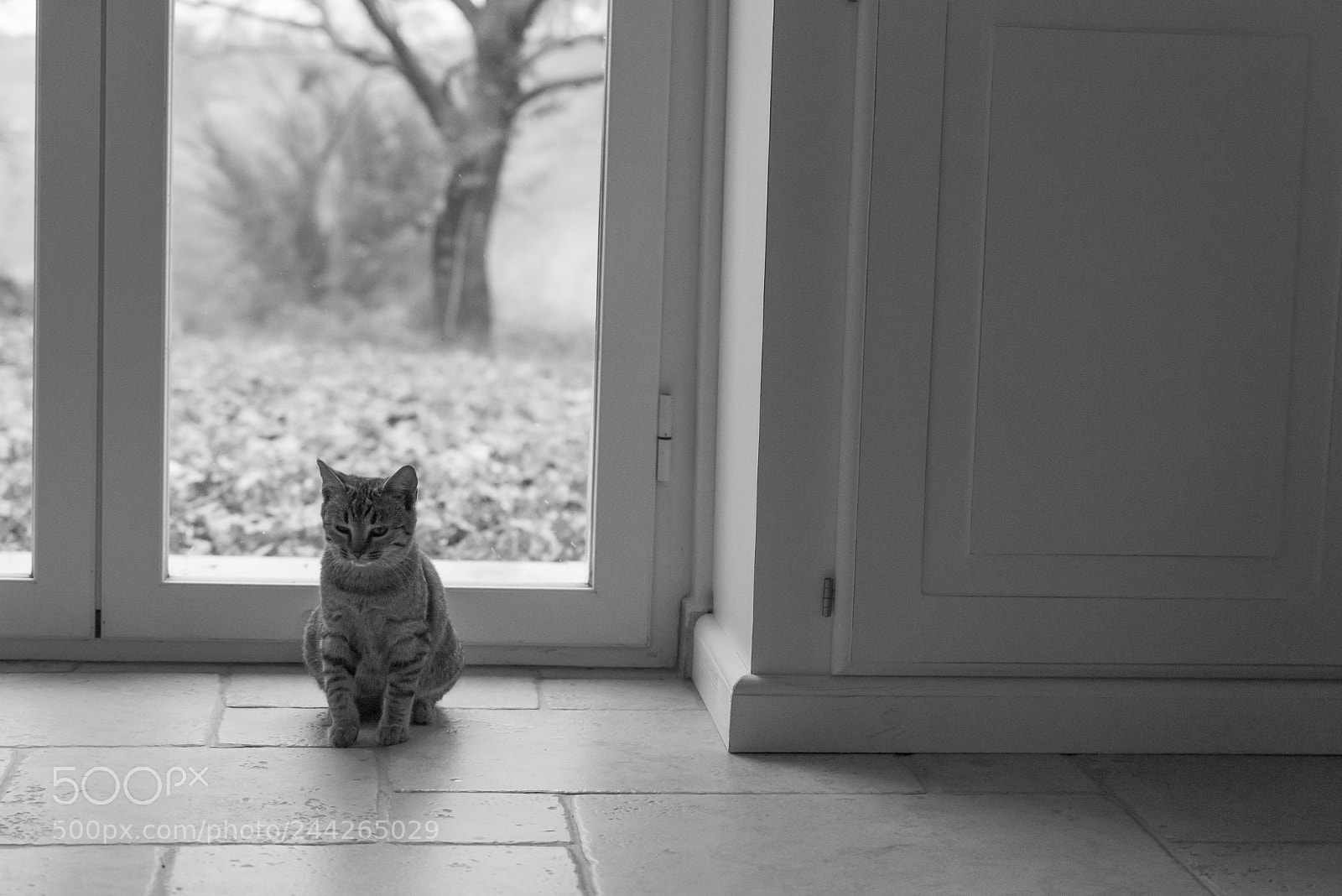 Nikon D610 sample photo. Lina photography