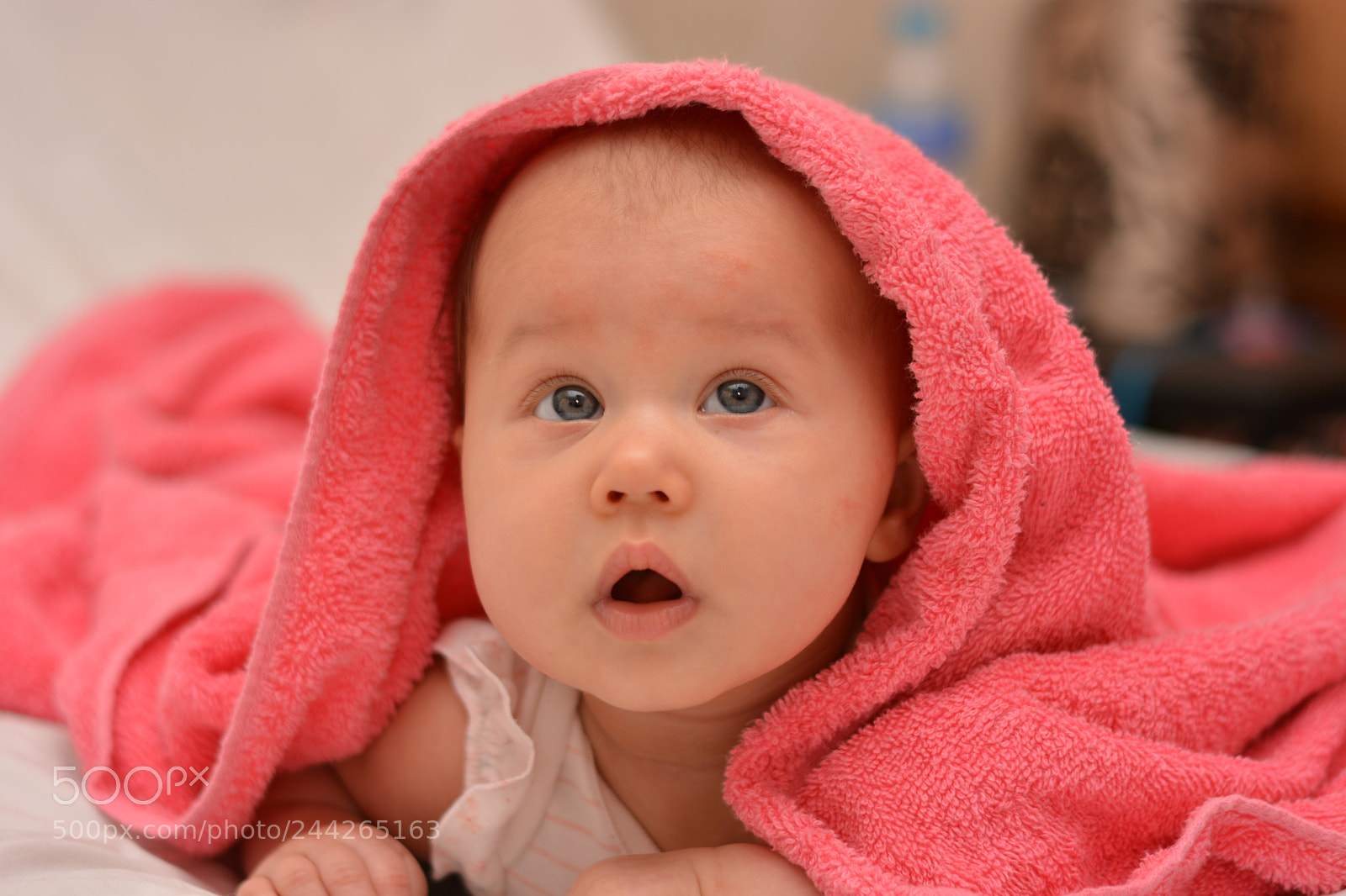 Nikon D7100 sample photo. My little princess..... photography