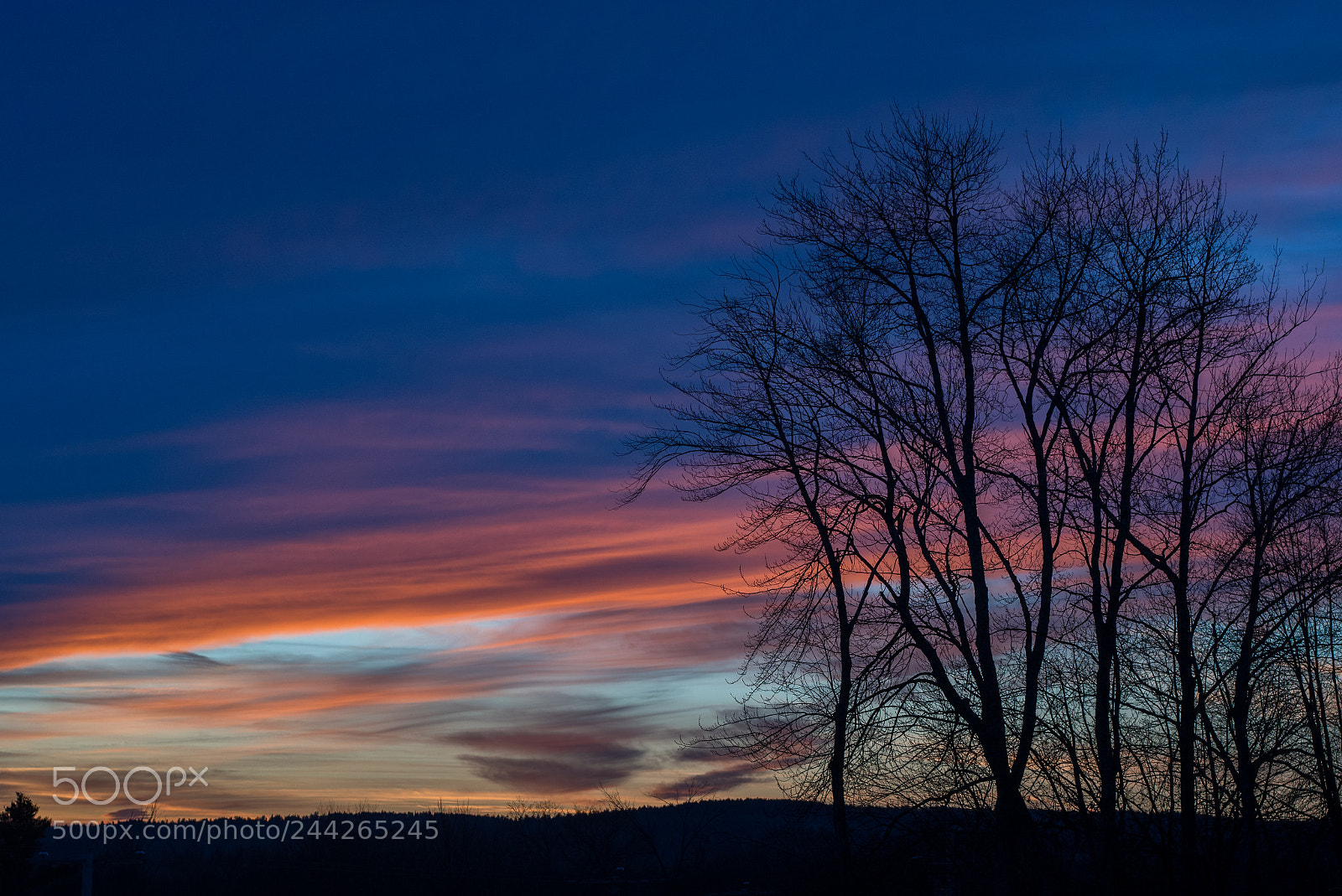 Nikon D500 sample photo. Twilight's arrival photography