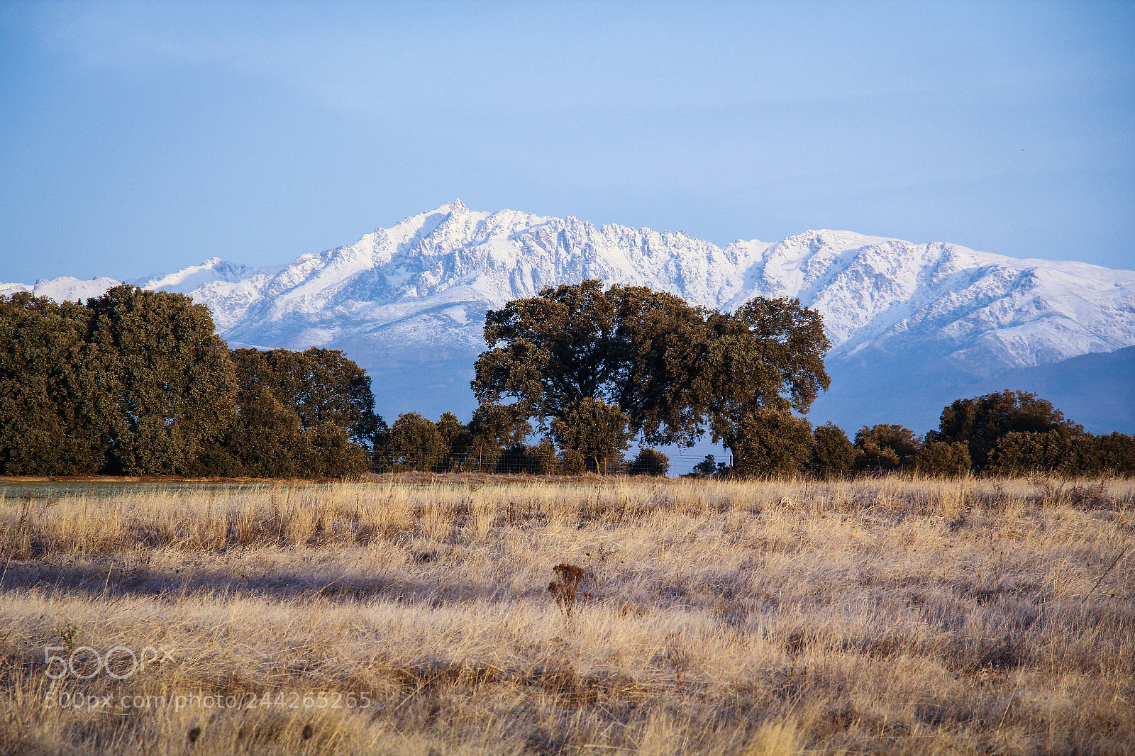Canon EOS 60D sample photo. Gredos photography