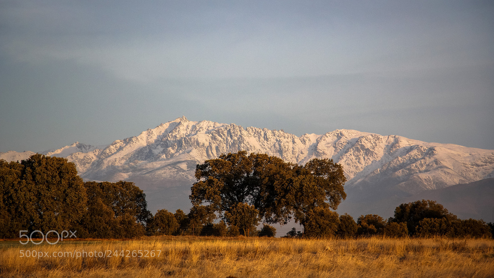 Canon EOS 60D sample photo. Atardecer en gredos photography
