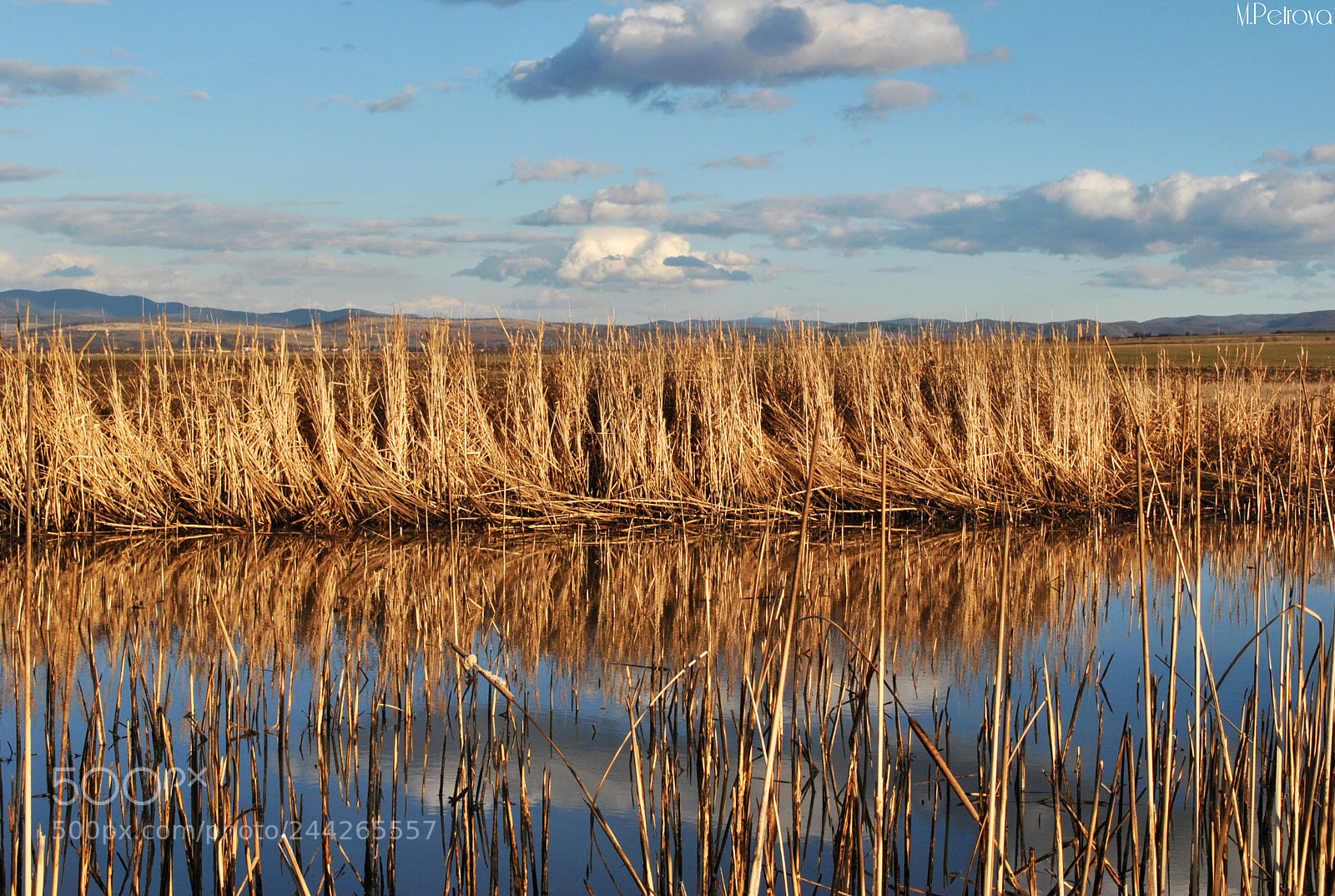 Nikon D3000 sample photo. Lake photography