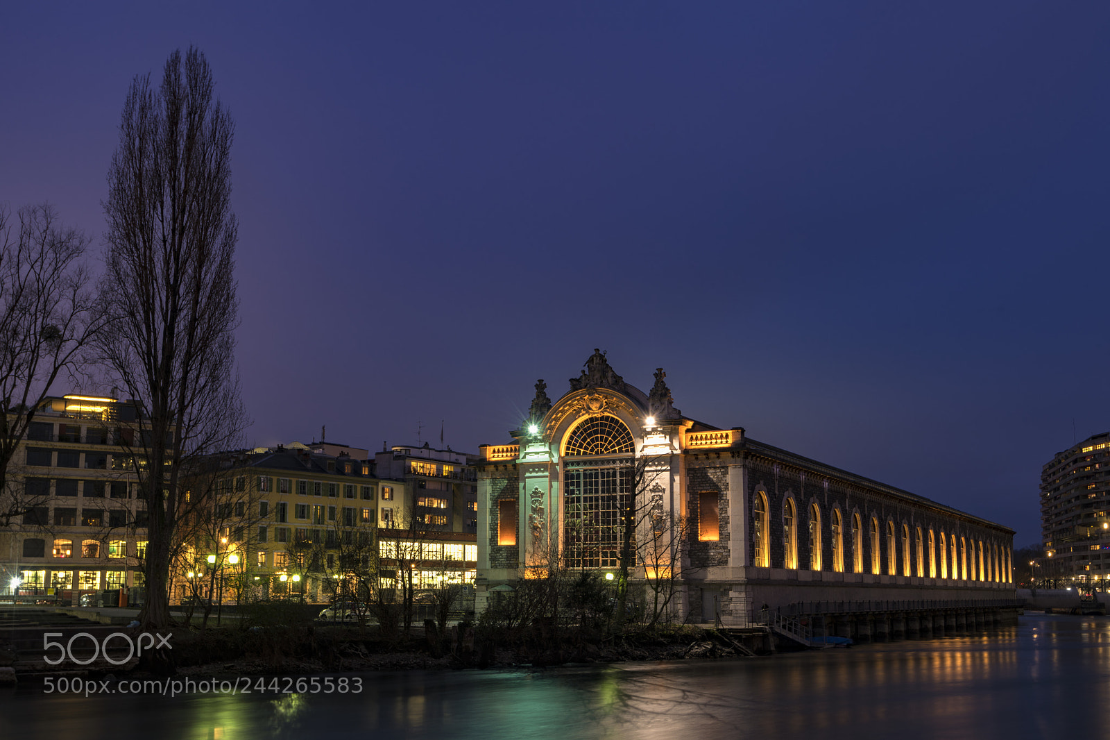 Nikon D850 sample photo. Geneva photography