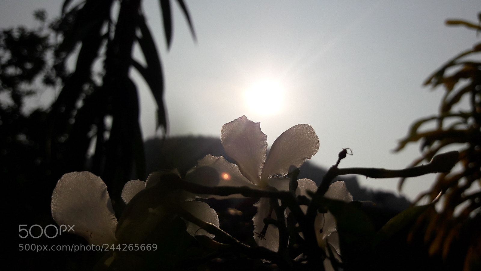 Samsung Galaxy J7 sample photo. Untitled photography