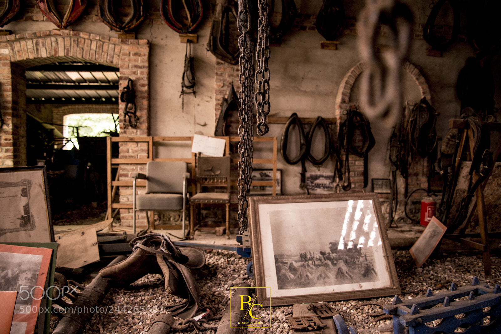 Nikon D800 sample photo. Untitled photography