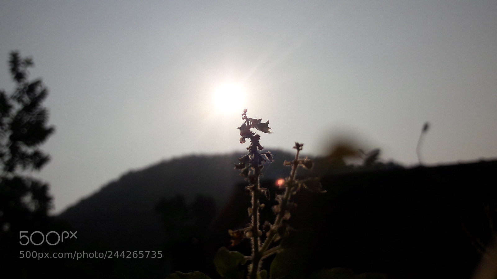 Samsung Galaxy J7 sample photo. Untitled photography