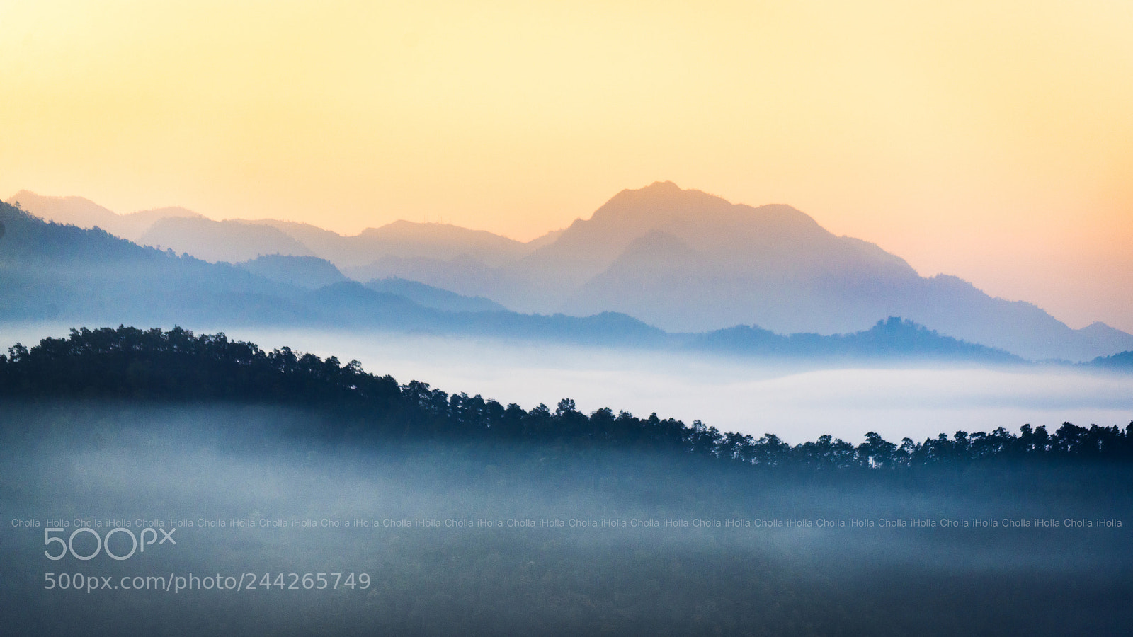 Nikon D610 sample photo. Mist on the mountain photography