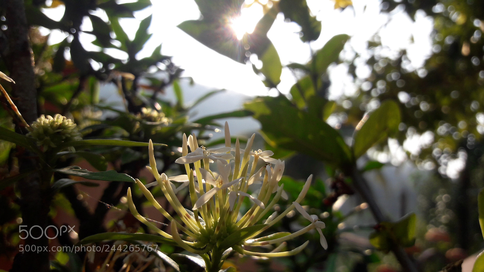 Samsung Galaxy J7 sample photo. Untitled photography