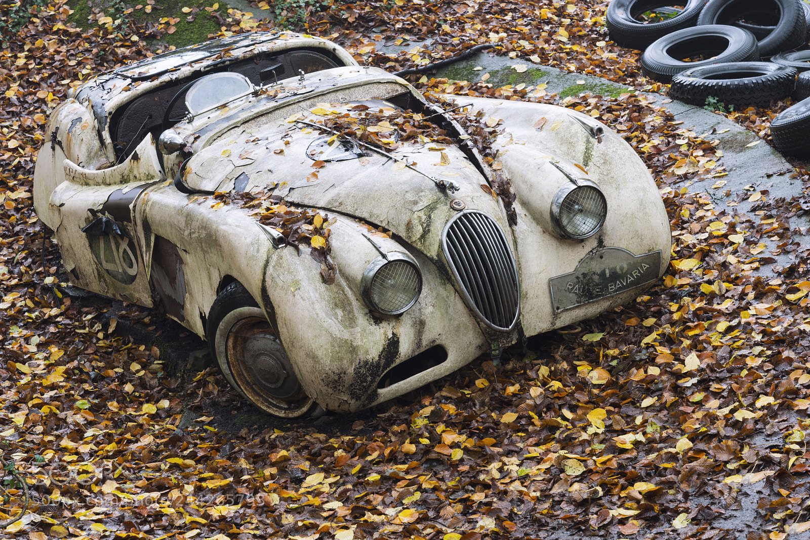 Nikon D800 sample photo. The fall photography