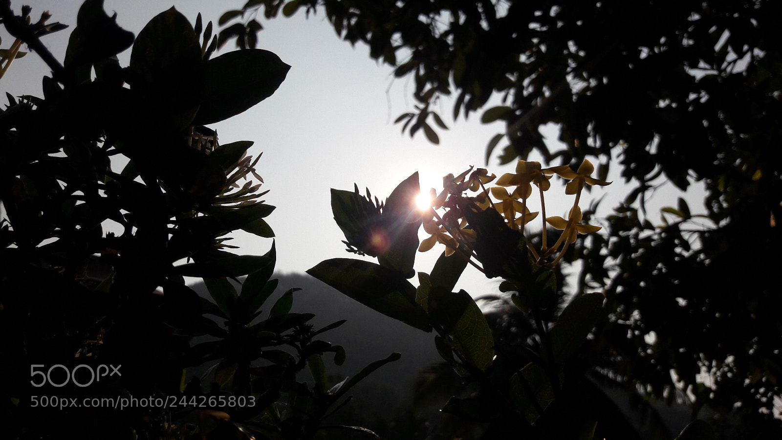 Samsung Galaxy J7 sample photo. Untitled photography