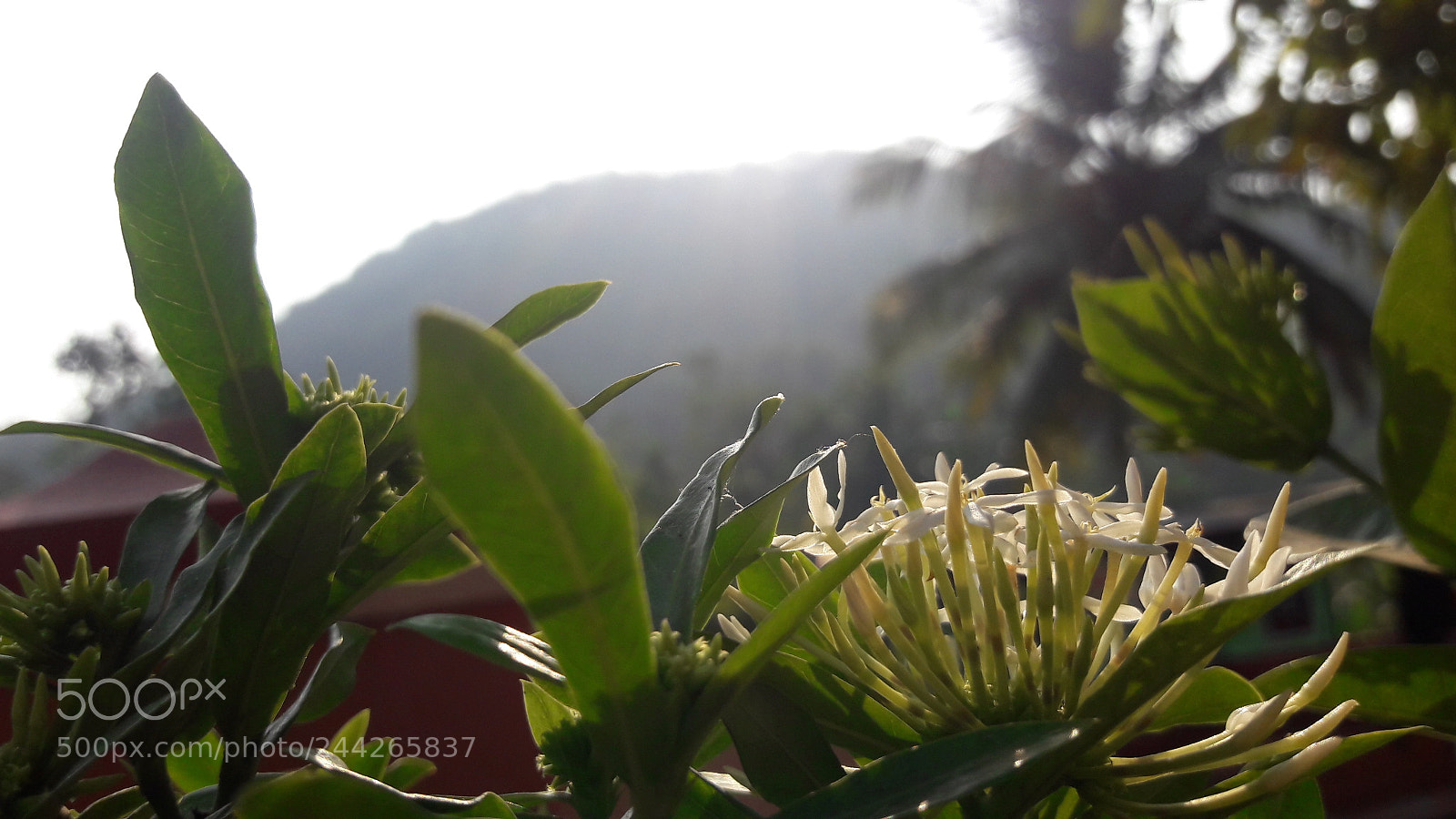 Samsung Galaxy J7 sample photo. Untitled photography
