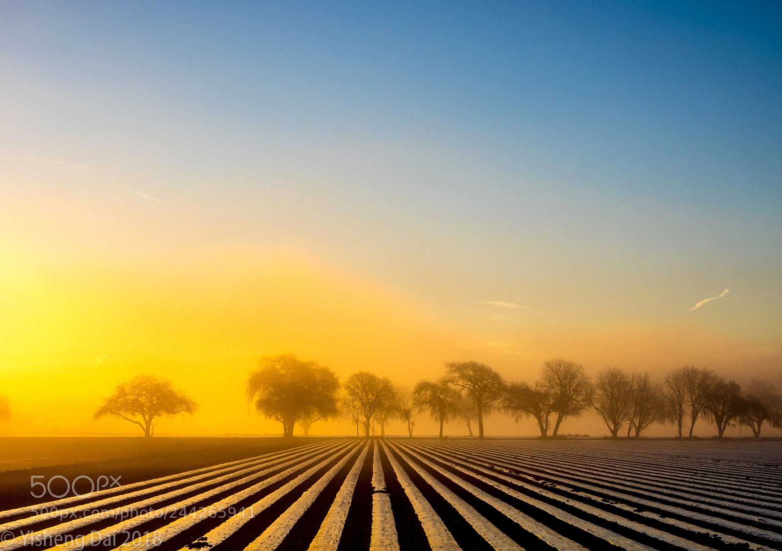 Olympus OM-D E-M1 sample photo. Golden fog on farm photography