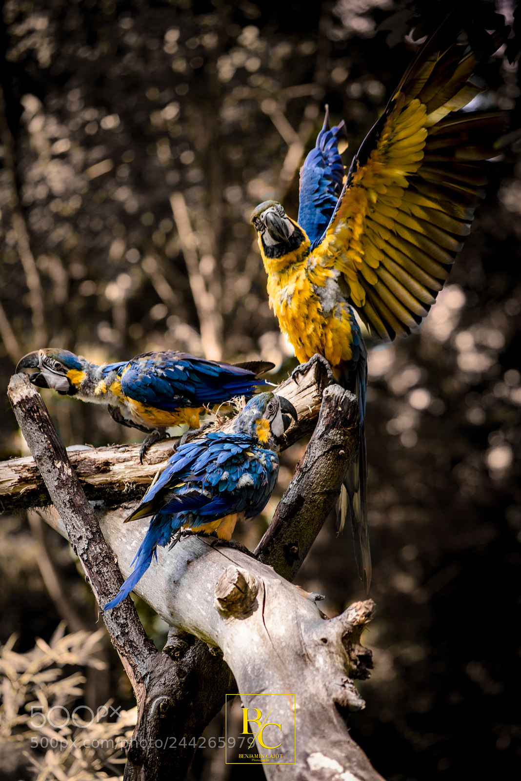 Nikon D800 sample photo. Untitled photography