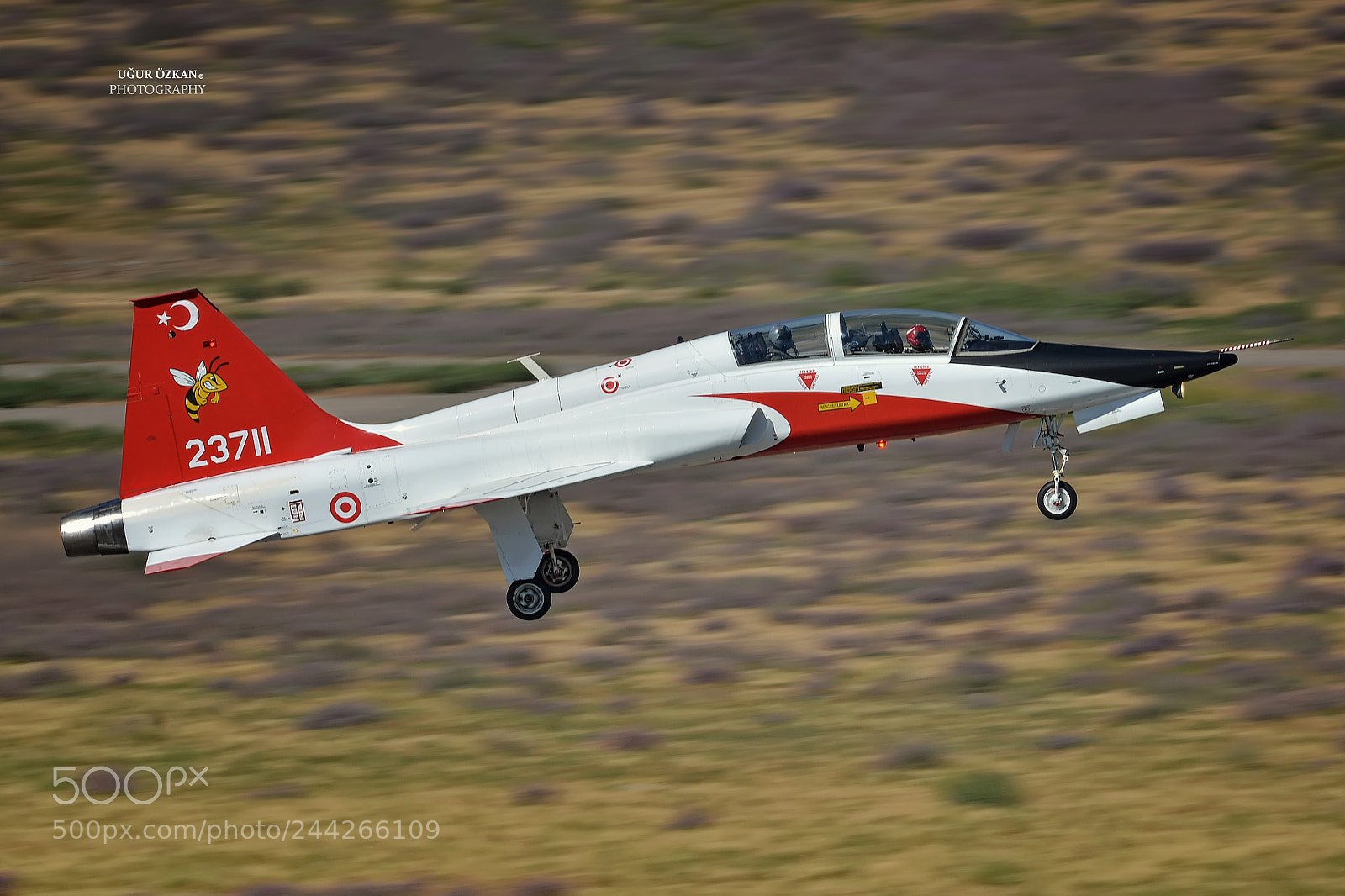 Nikon D7100 sample photo. T38m talon photography