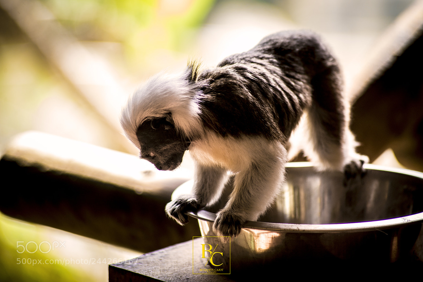 Nikon D800 sample photo. Untitled photography
