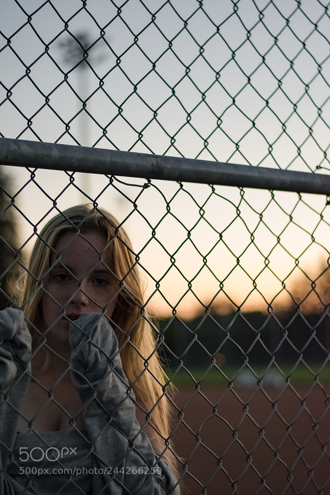 Nikon D5500 sample photo. Untitled photography