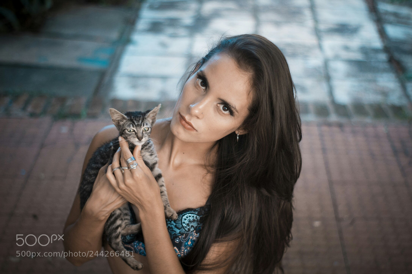 Canon EOS 1300D (EOS Rebel T6 / EOS Kiss X80) sample photo. Cat and woman photography