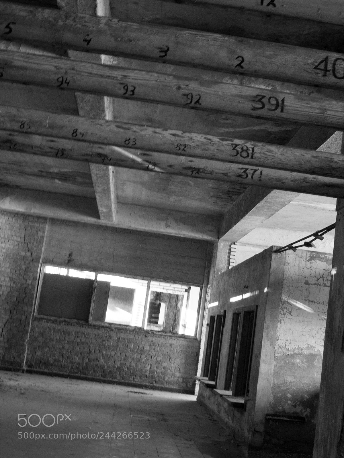 Olympus OM-D E-M10 II sample photo. Urbex in old swimming photography