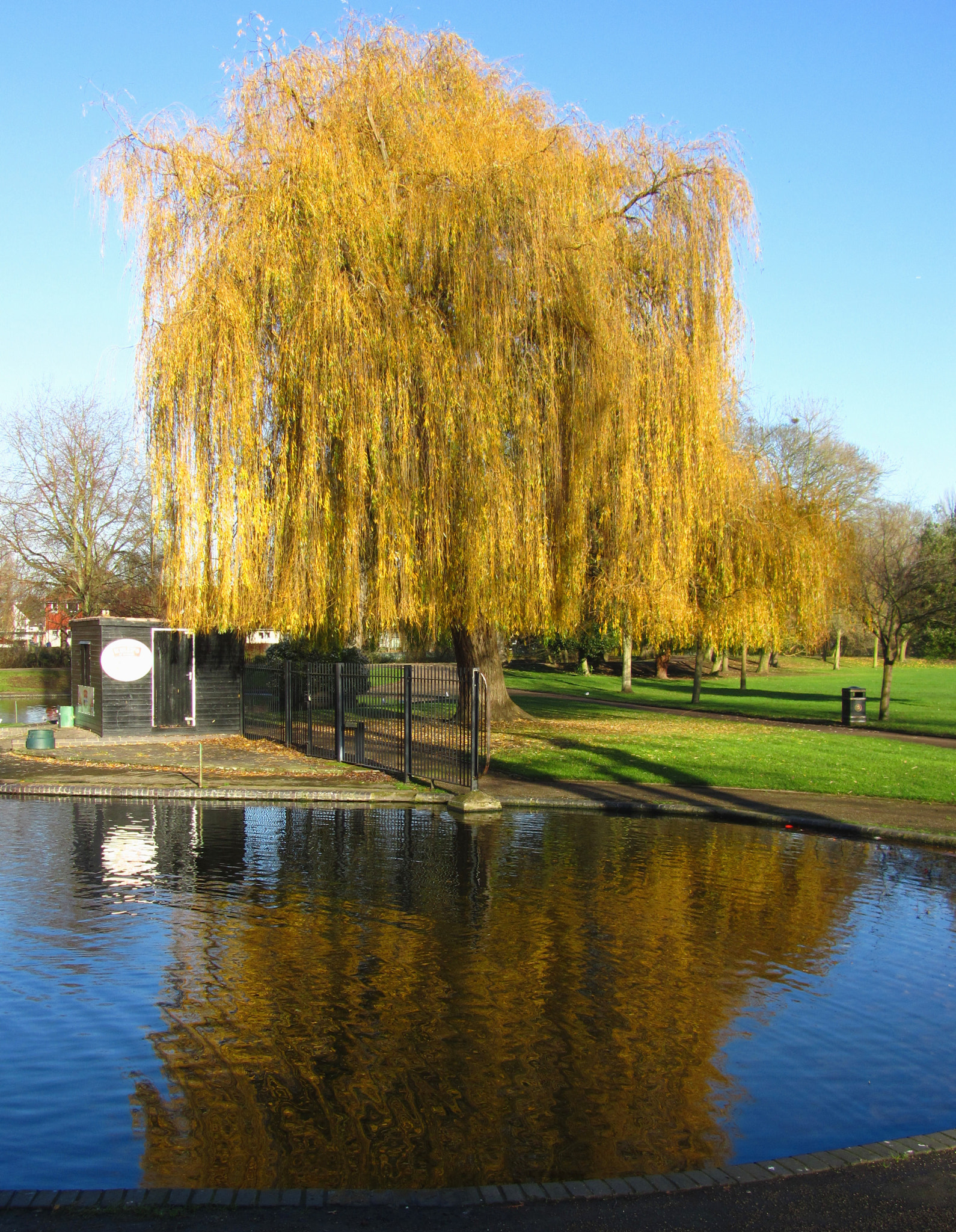 Canon PowerShot SX210 IS sample photo. Colchester, essex photography
