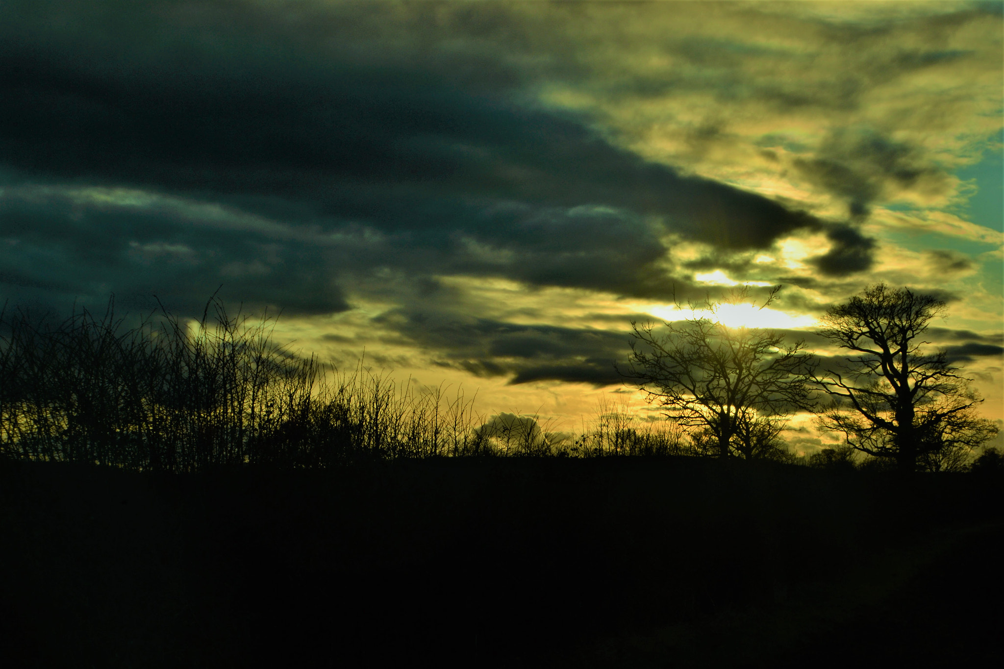 Nikon D3100 sample photo. Rustical painting photography