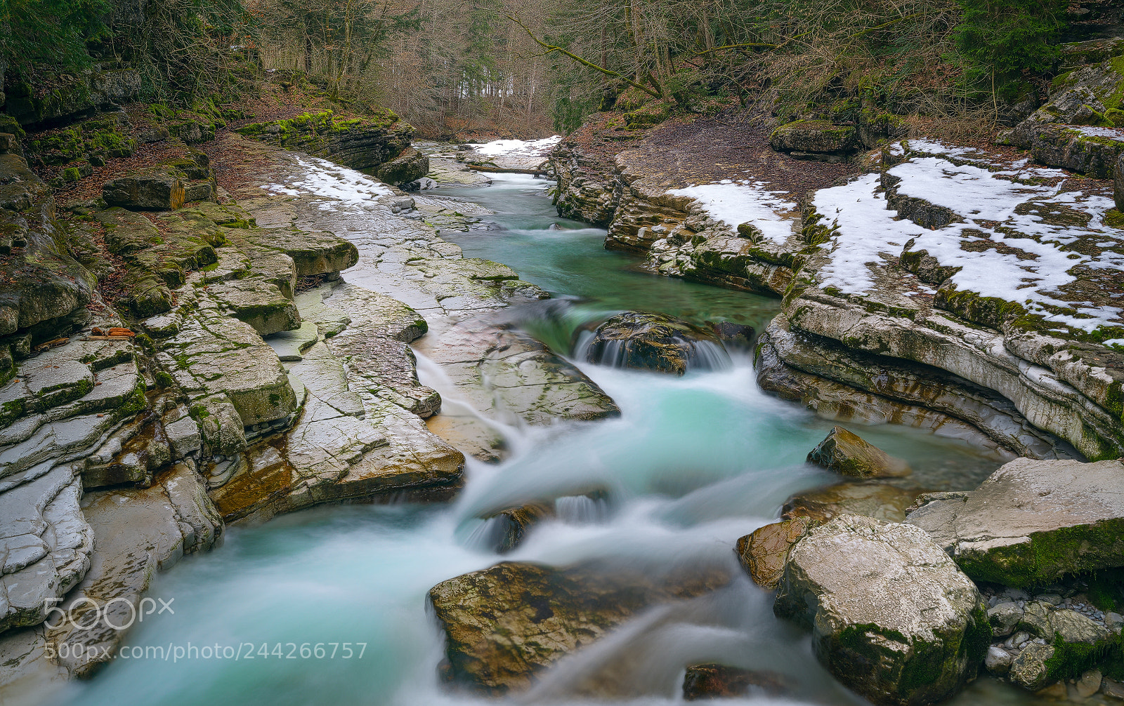Sony a7R II sample photo. Tauglgries photography