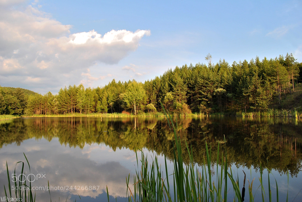 Nikon D3000 sample photo. Water like a mirror photography
