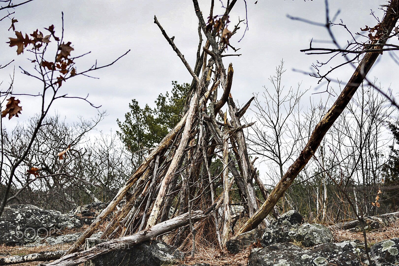 Nikon D7200 sample photo. Found a tipi today photography