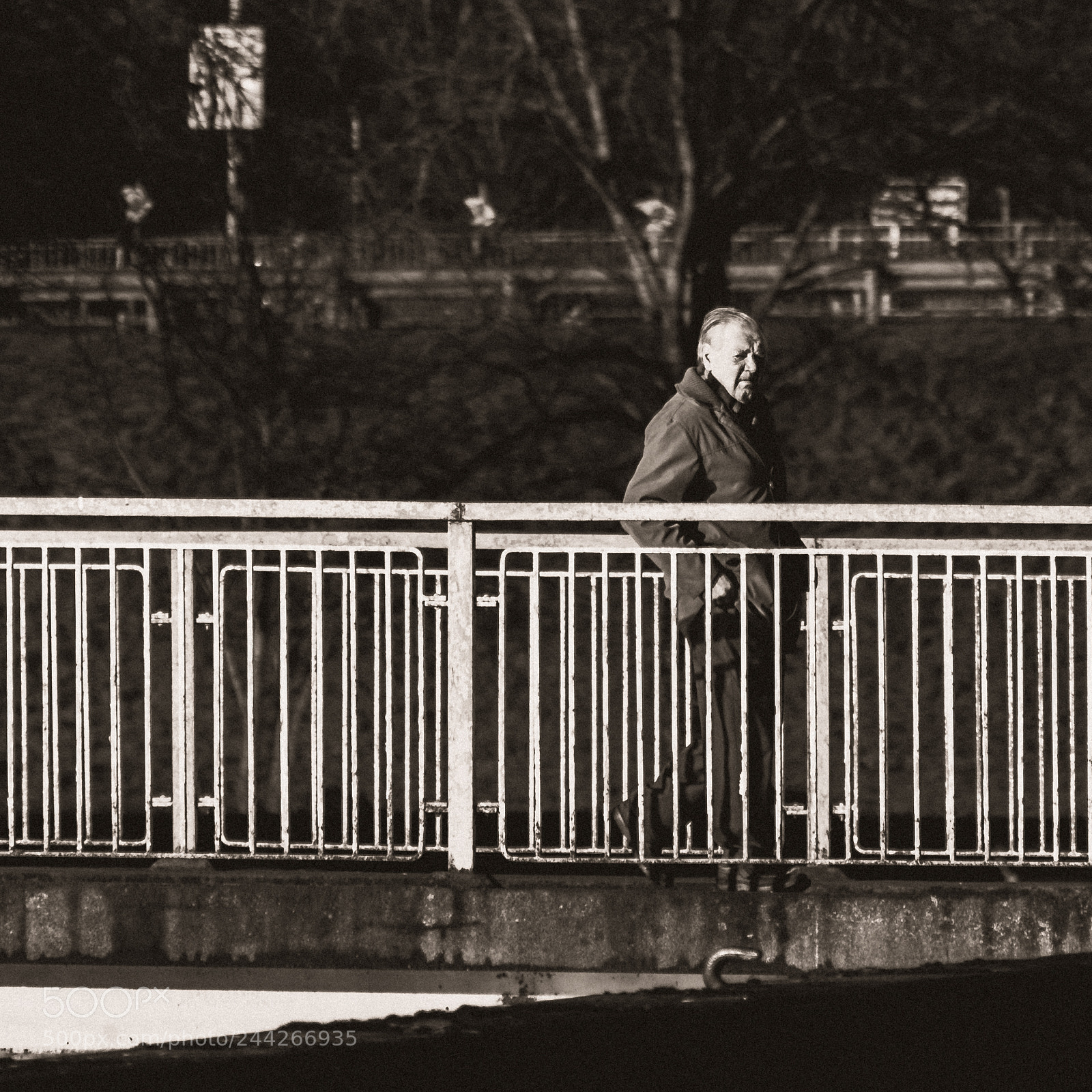 Nikon D5600 sample photo. Bridge photography