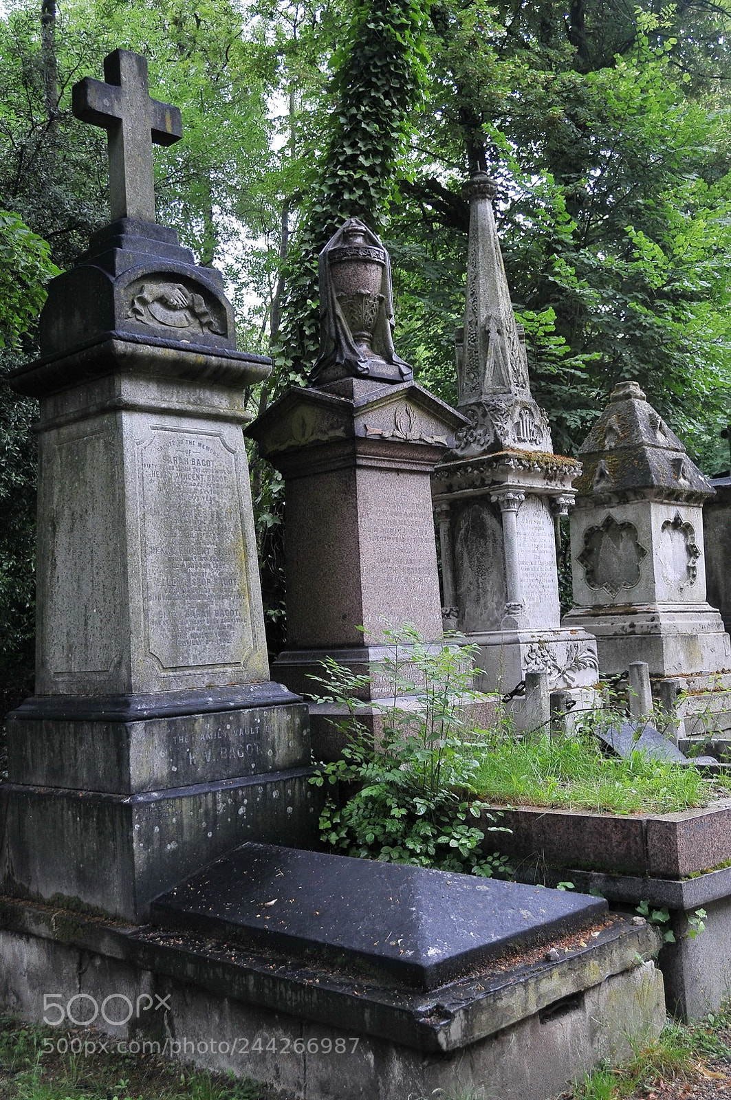 Nikon D300S sample photo. Nunhead cemetery, london photography