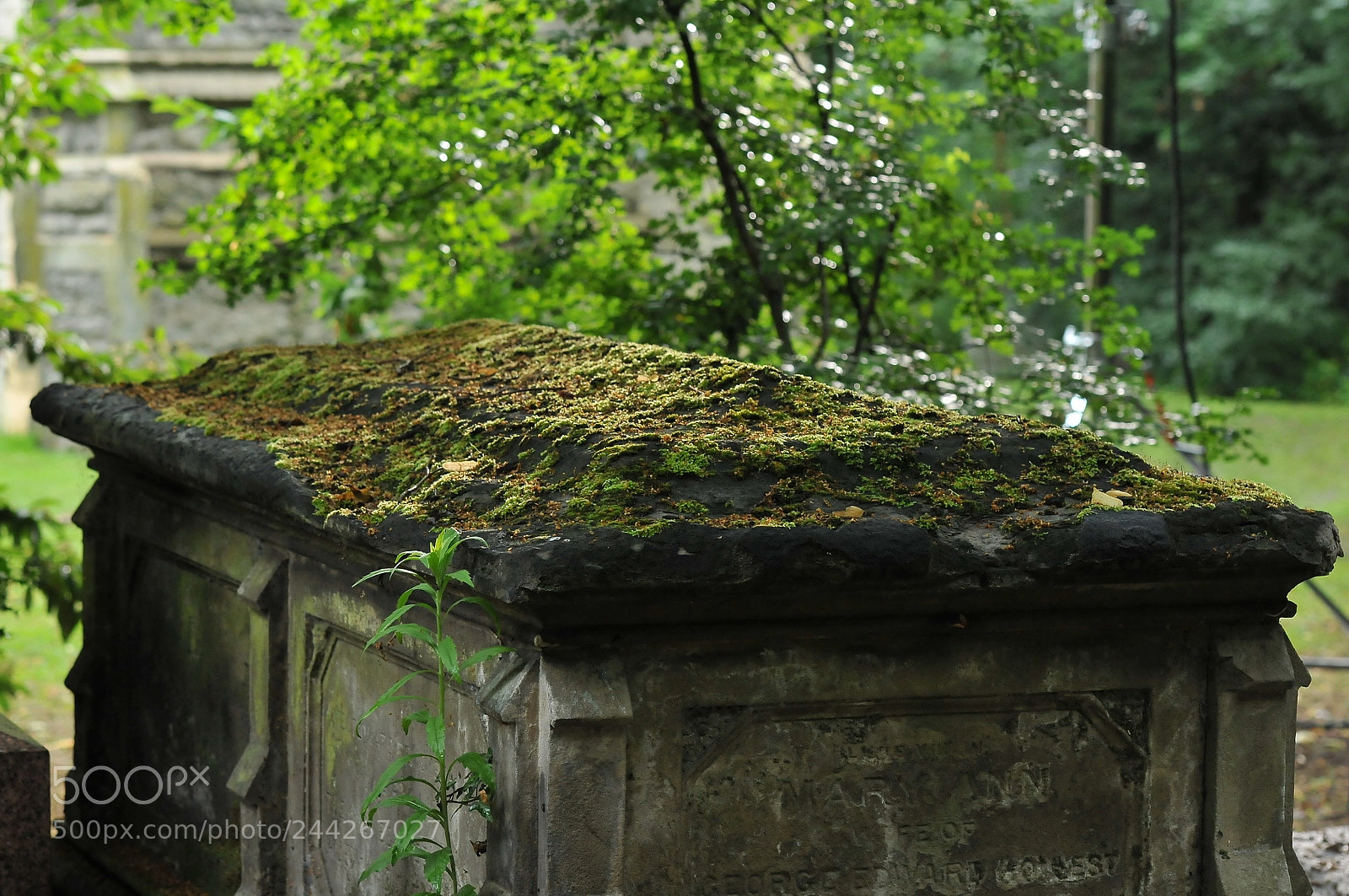 Nikon D300S sample photo. Nunhead cemetery, london photography
